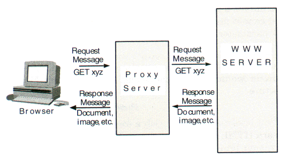 WWW through a Proxy Server